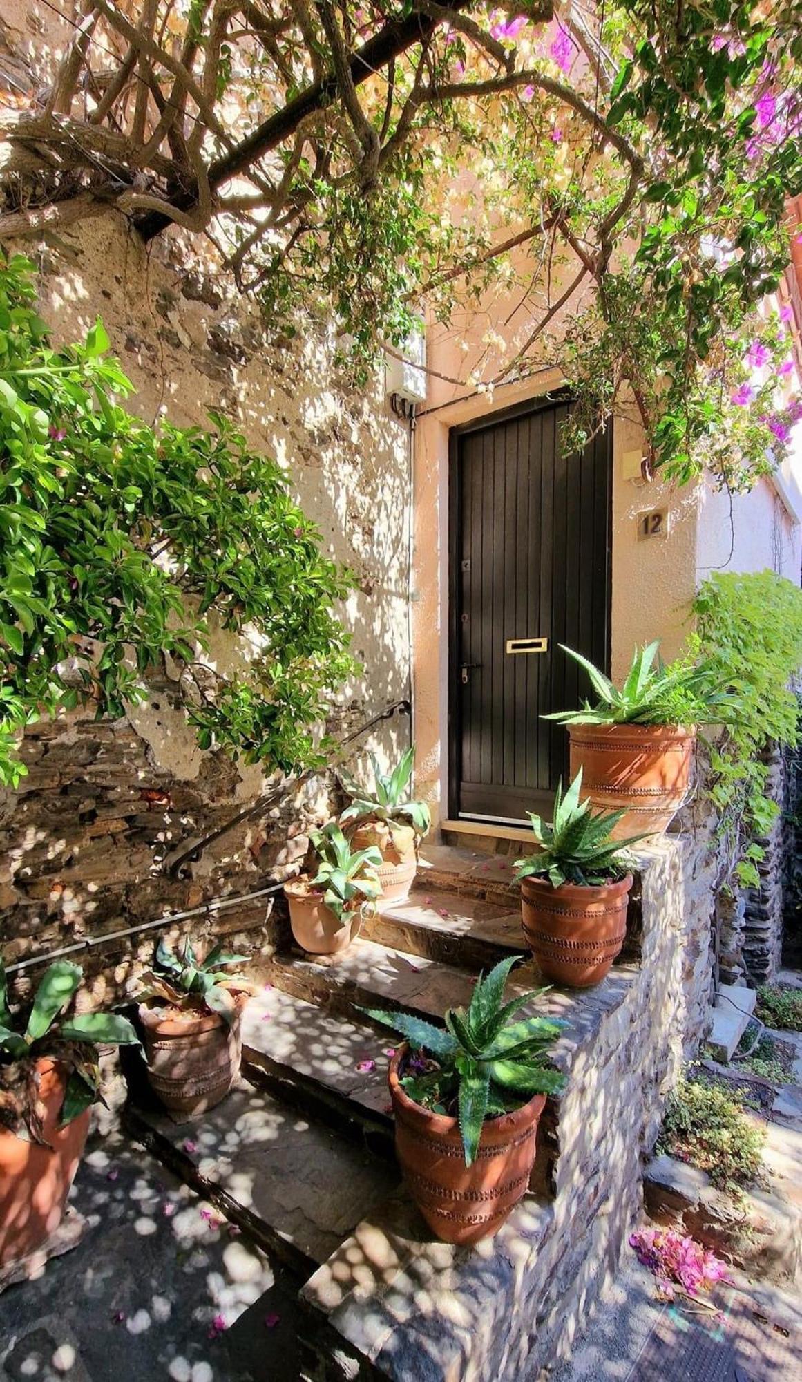 Residence L'Alzine 6Alz8 Collioure Exterior foto
